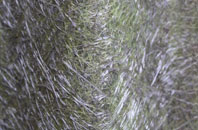 Llanllechid fibreglass roof work